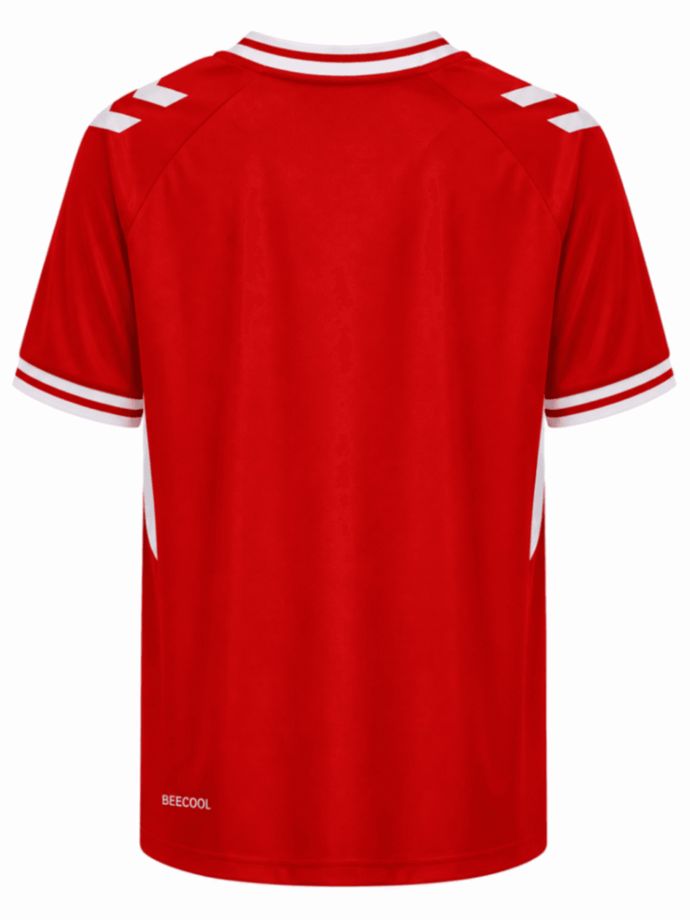 Camiseta DINAMARCA 2024 casa versión player