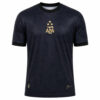 Camiseta ARGENTINA 2024 entrenamiento versión fan