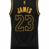 Camiseta basket LAKERS 2019 edición especial James #23