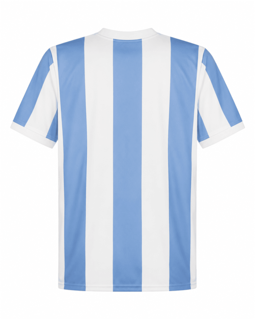 Camiseta original ARGENTINA 2024 edición especial