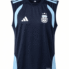 Camiseta estilo basket ARGENTINA 2026 versión fan