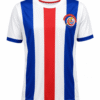 Camiseta COSTA RICA 2006 alterna