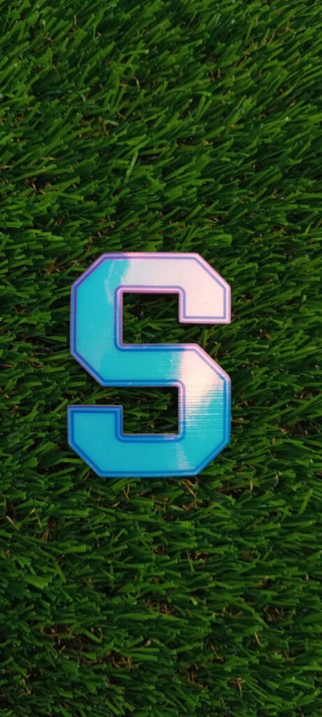 Parche SAPRISSA, S tornasol