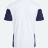 Camiseta original ARGENTINA 2026 alterna versión fan